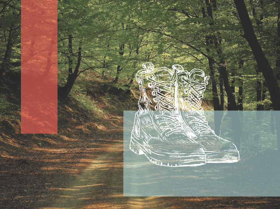 Foto af vej igennem skov + stregtegning af vandrestøvler